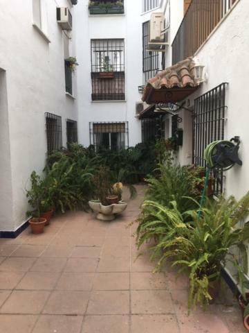 科爾多瓦El Rincon De La Juderia公寓 外观 照片